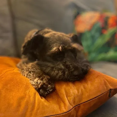 Yorkshire Dales 8 By Together Travel - 3-bed Ensuite Retreat *