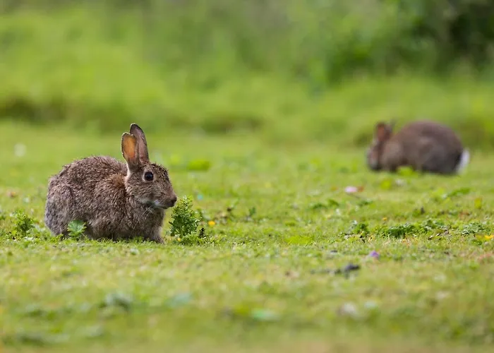 Yorkshire Dales 8 By Together Travel - 3-bed Ensuite Retreat 度假居